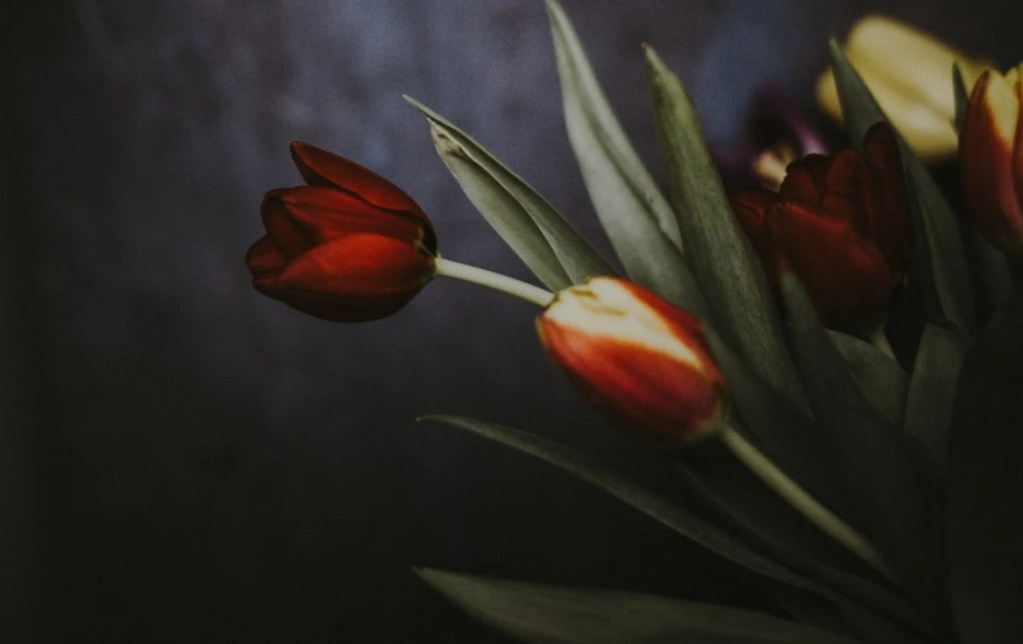 SE-cb9cdc25-9e1c-42a7-bfa1-558d9b35b75c.jpg?type=w1