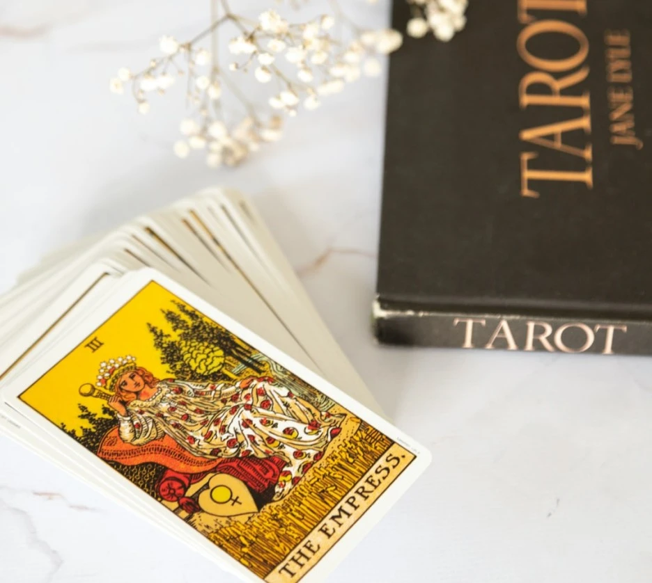 SE-e2dc0456-24bb-4e23-a275-1c196fa76c8b.jpg?type=w1