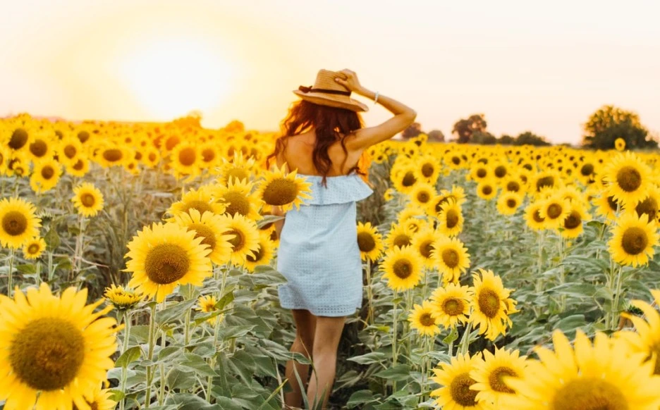 SE-bfe515a8-f8ea-4a9f-b6c5-912665e11328.jpg?type=w1