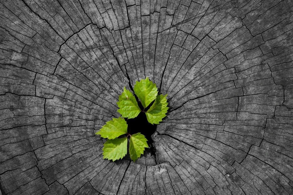 g8051b08e1e5dd90c65fc6d8356d6a2e94fc3ac37d05f1dbaff714fbe966a70d5617f314d0a7.jpg?type=w1