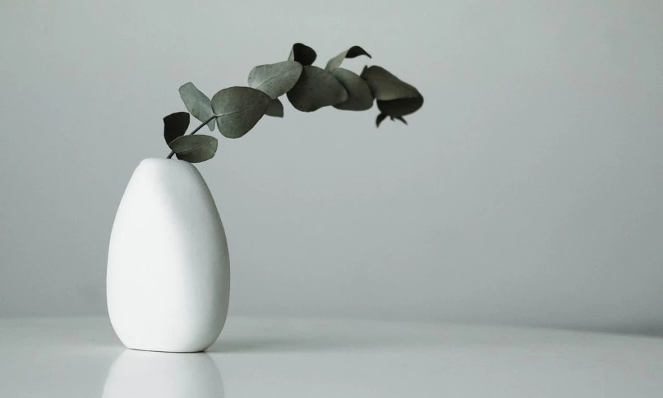 SE-825713e0-e808-421a-9e99-639dc8f52371.jpg?type=w1