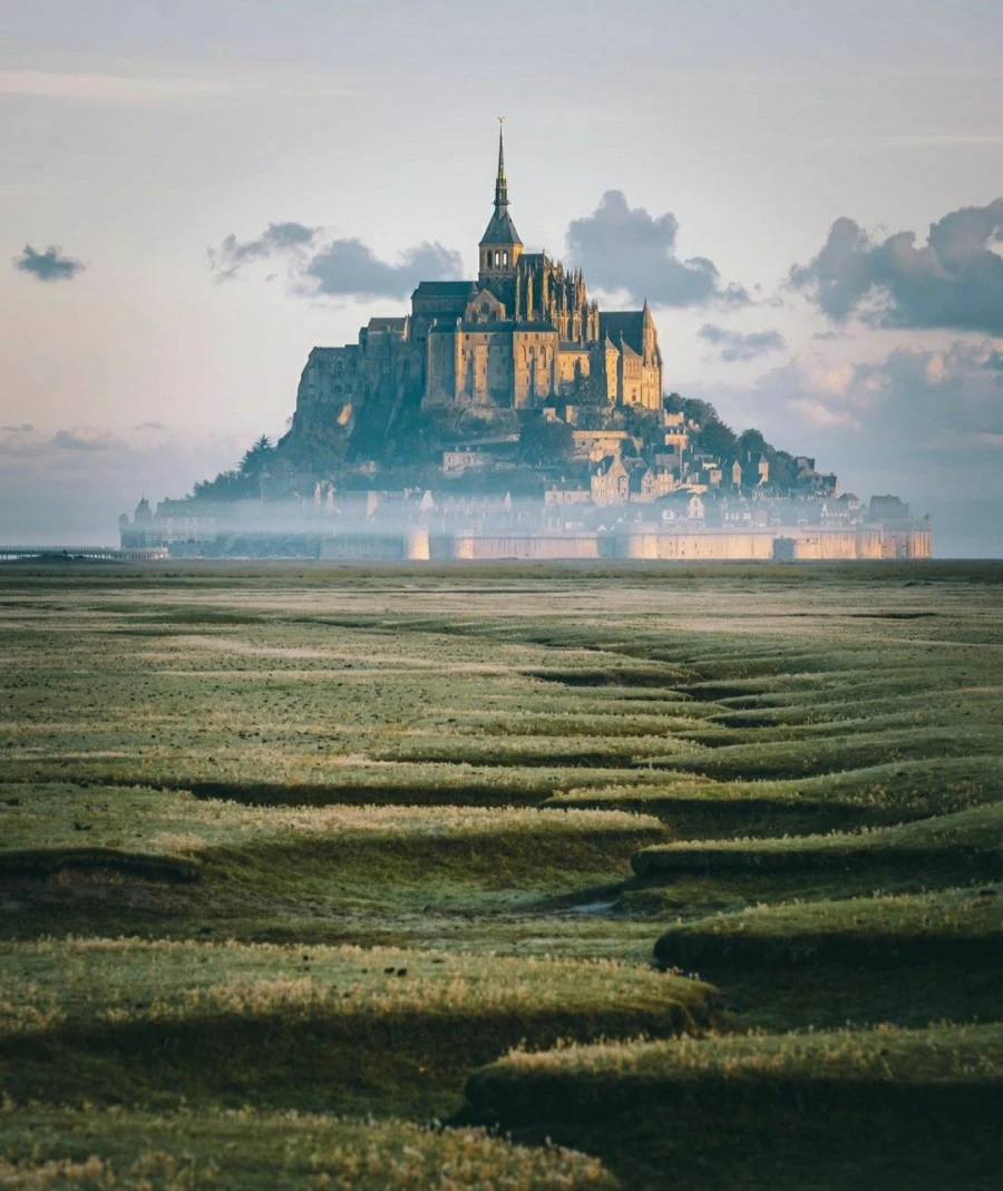 1603376879579.jpg?type=w1