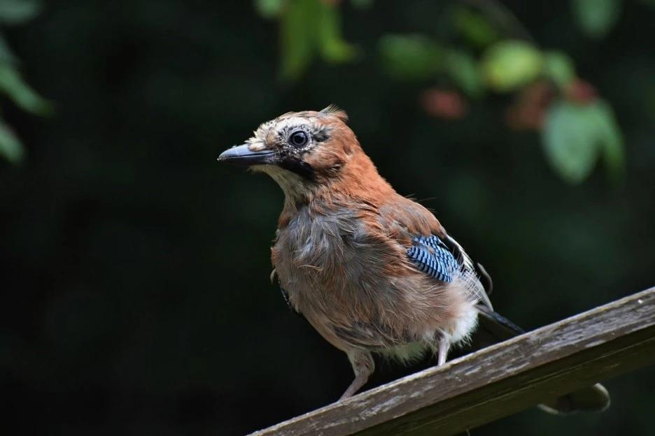 g34472dad989ed555b9a9c066accbf1880359431968ef1e682a872f619b18a275f30bad7ac77.jpg?type=w1