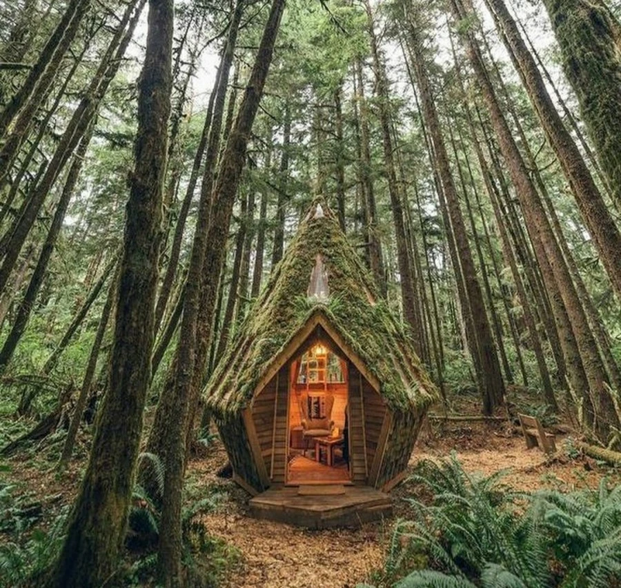 20201105%25EF%25BC%25BF134204.jpg?type=w1