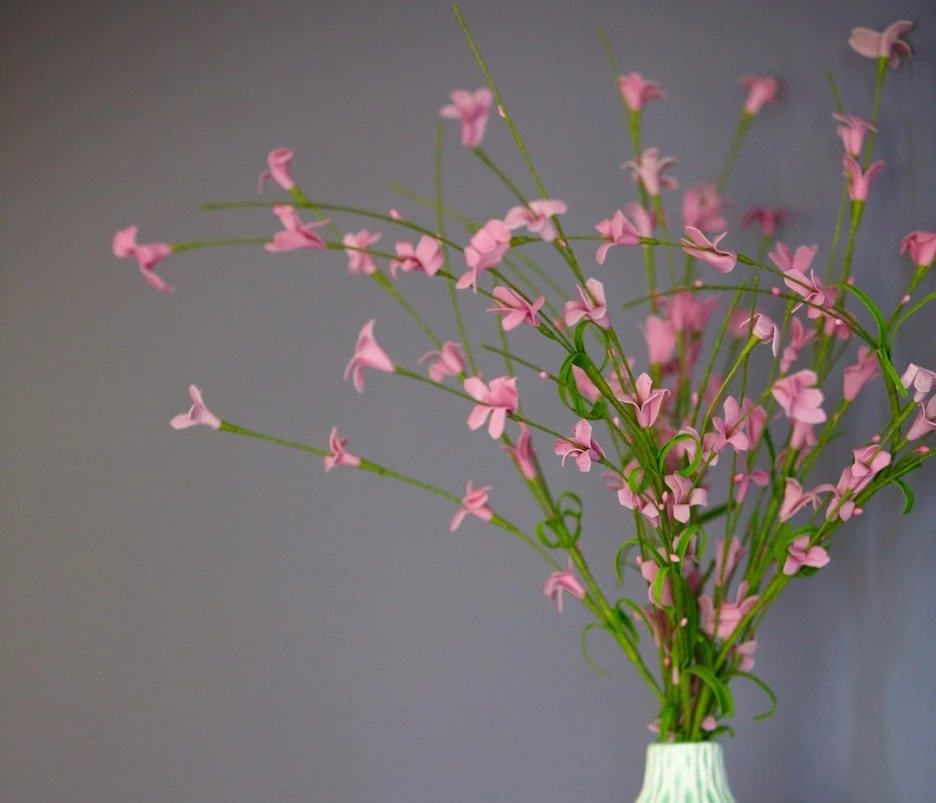 SE-16dae9fc-0df5-4e81-a735-439b41c0d087.jpg?type=w1