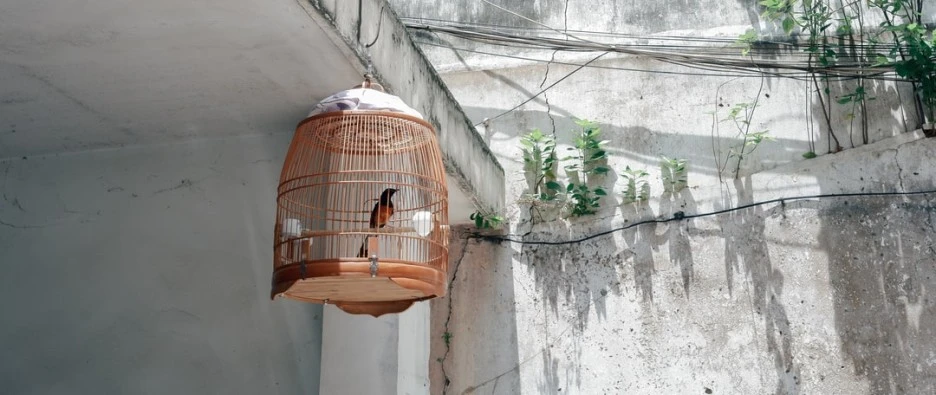 SE-f42d4957-9b7c-4e36-b42d-49d14fe01747.jpg?type=w1