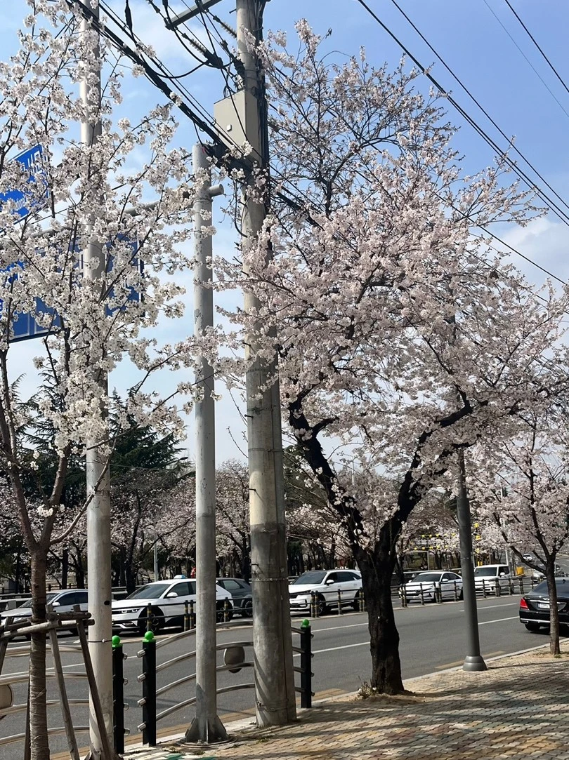 SE-a8da20d0-90cf-4adc-84ff-1d129ab8e341.jpg?type=w1600