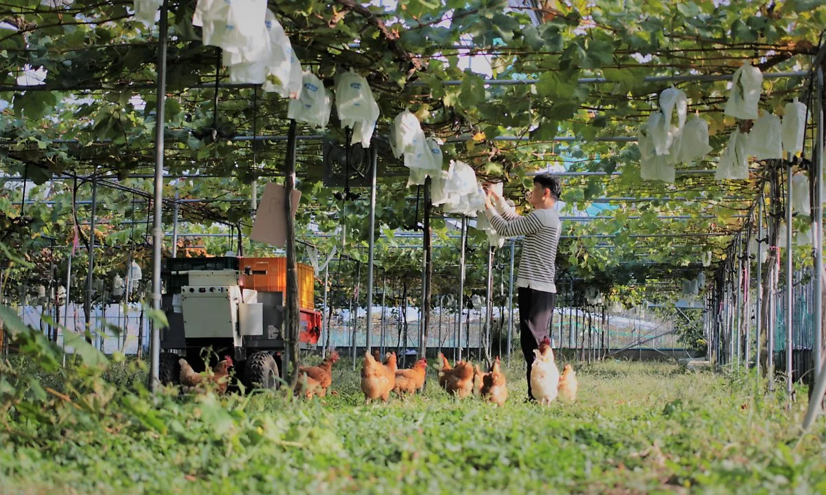 KakaoTalk_Photo_2020-12-28-15-40-07.jpeg?type=w1200