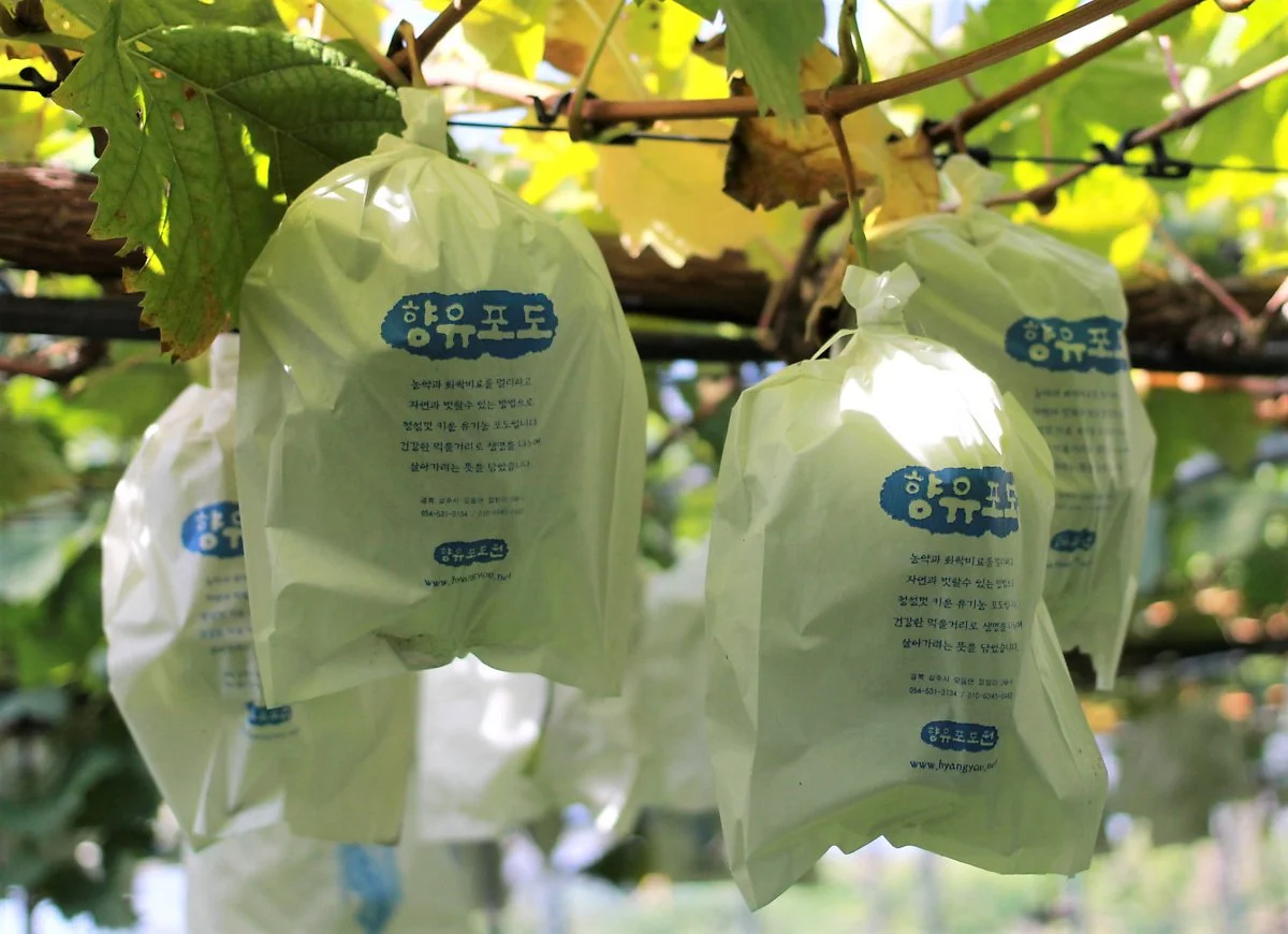 KakaoTalk_Photo_2020-12-28-15-40-26.jpeg?type=w1200