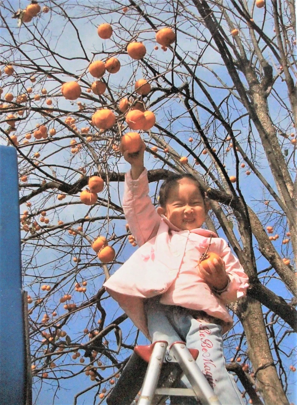 KakaoTalk_Photo_2020-12-28-15-40-20.jpeg?type=w1200