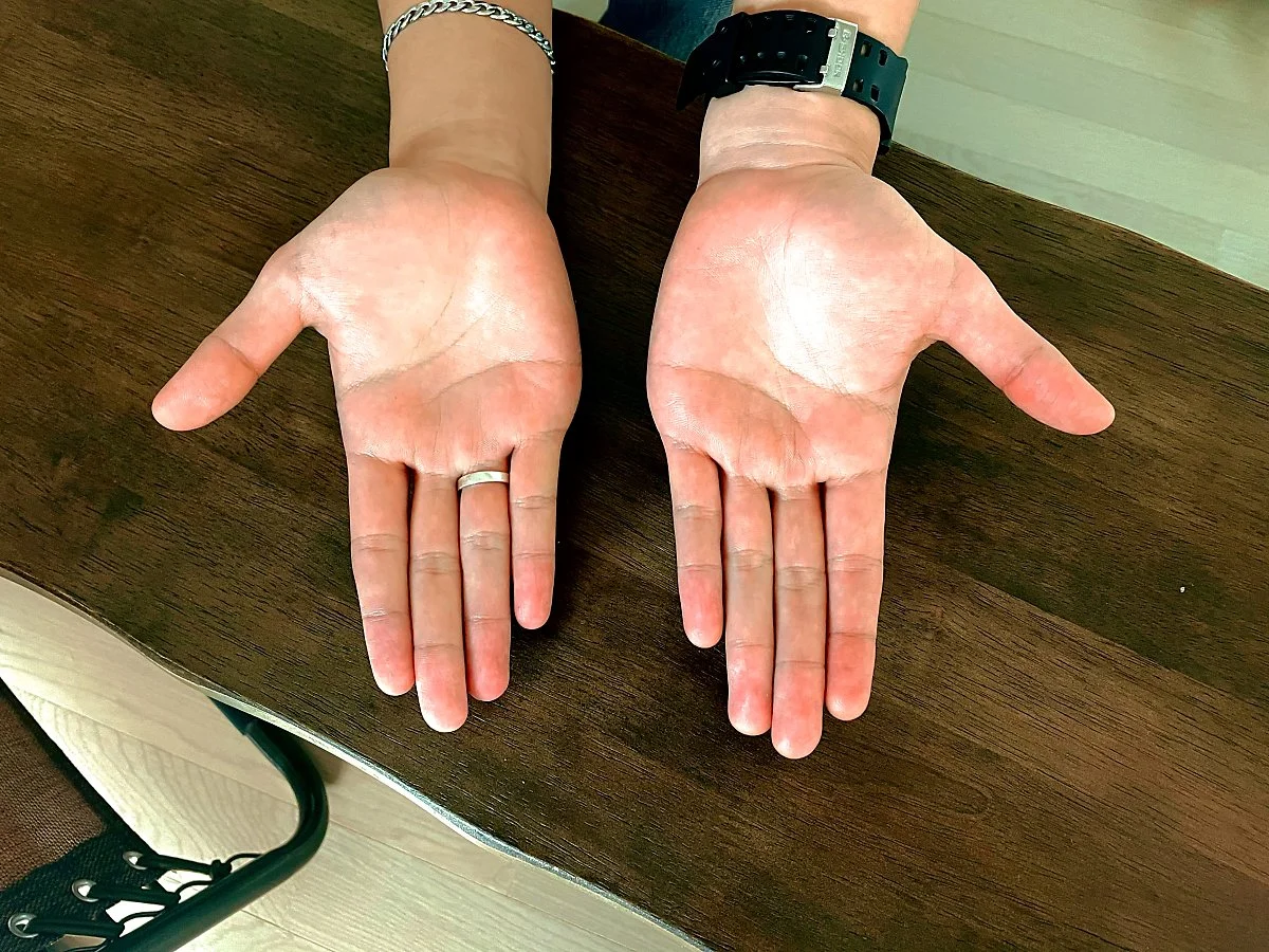 IMG_3037.JPG?type=w1200