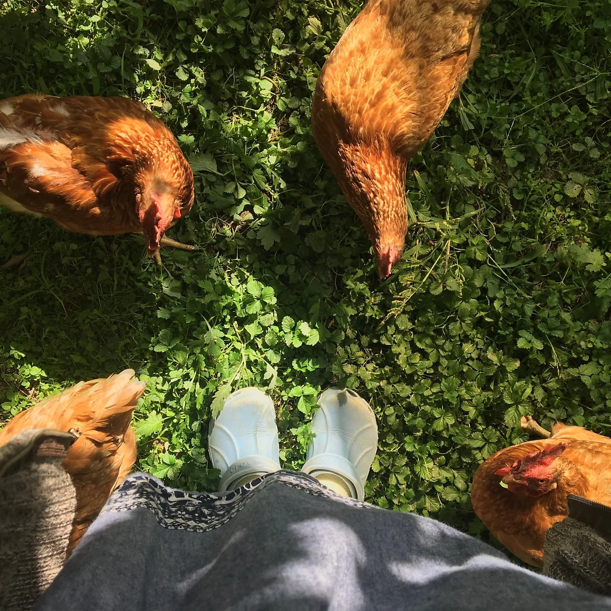 KakaoTalk_Photo_2020-12-28-15-39-59.jpeg?type=w1200