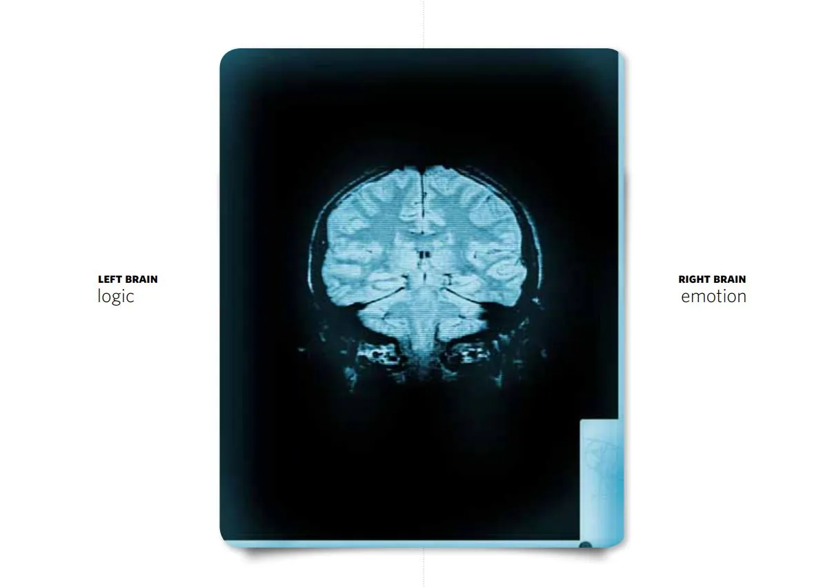 좌뇌우뇌 논리  뇌그림.JPG