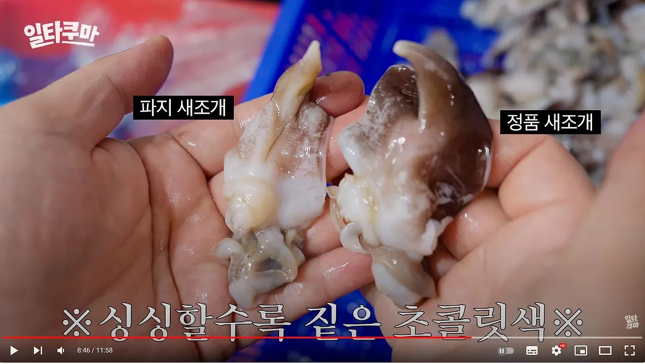 일타쿠마 비교 테이스팅 파지비교.JPG