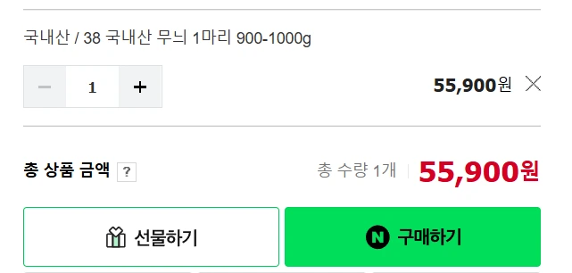 실제 무늬오징어 가격 오만원.PNG