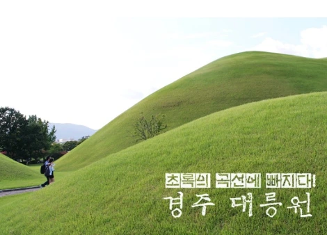 초록의 곡선에 빠지다.PNG