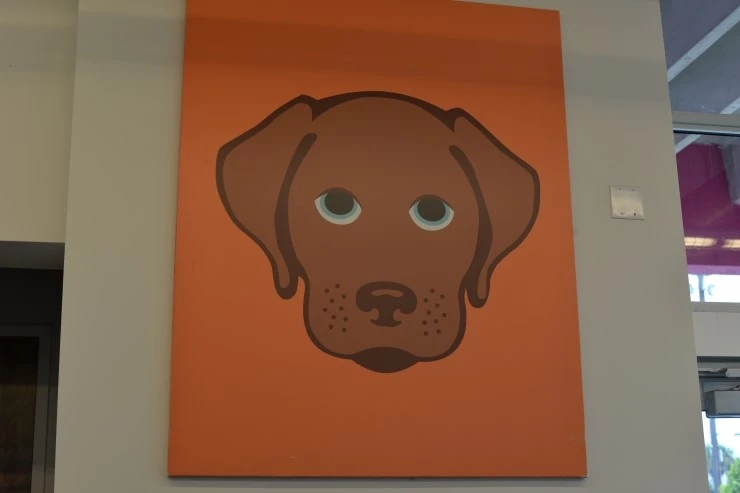 DSC_0201.JPG?type=w2