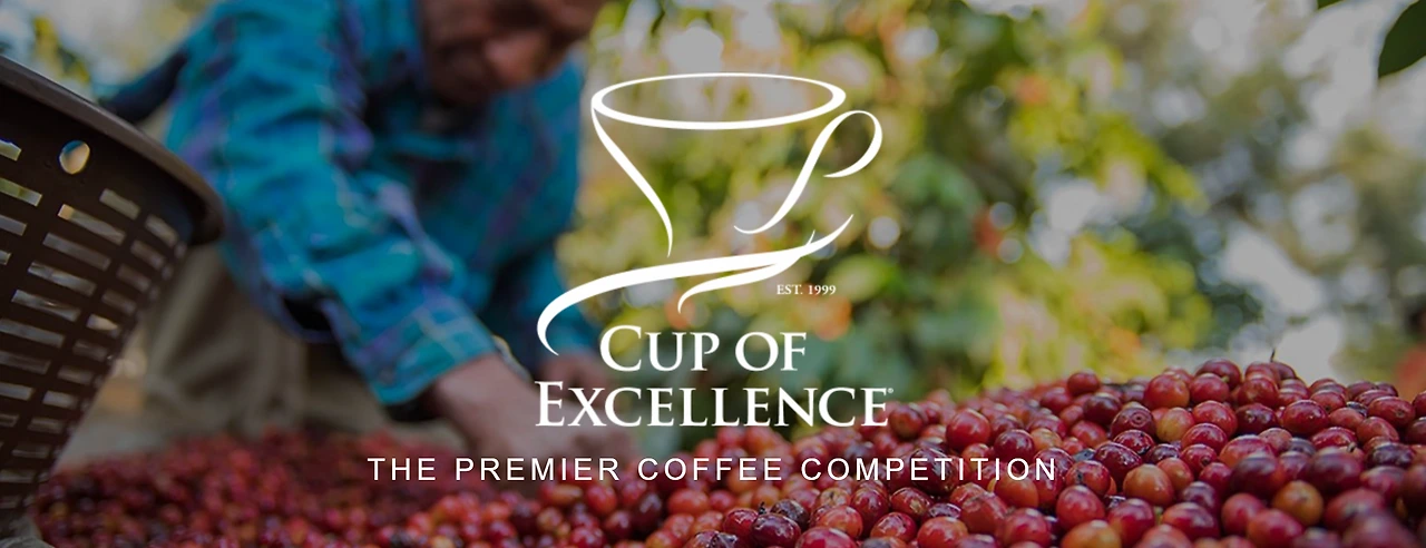 cupofexcellence_org.PNG