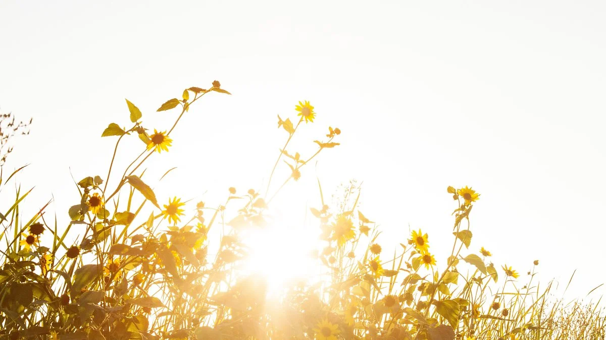 image_2719638031620013487009.jpg?type=w1200