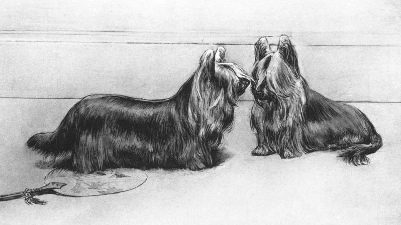 image_6160019691619396018698.png?type=w1200