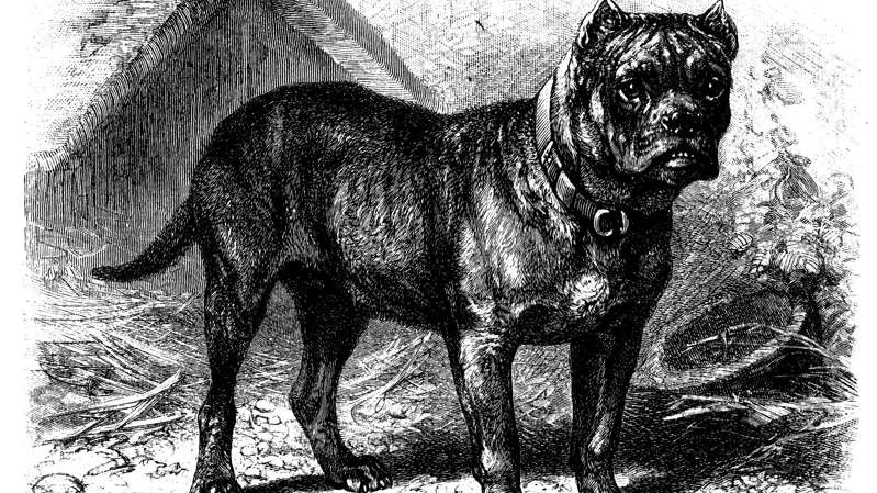 image_1087466361619398113035.png?type=w1200