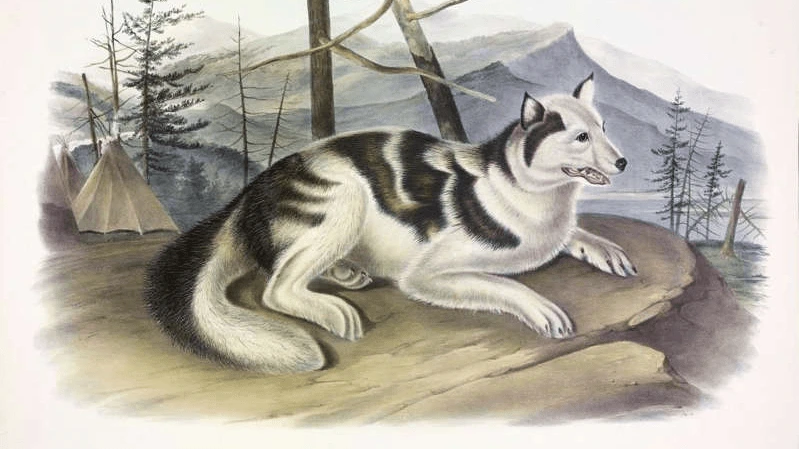 image_2700163281619397955754.png?type=w1200