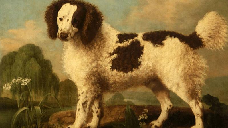 image_9870041931619396139985.png?type=w1200