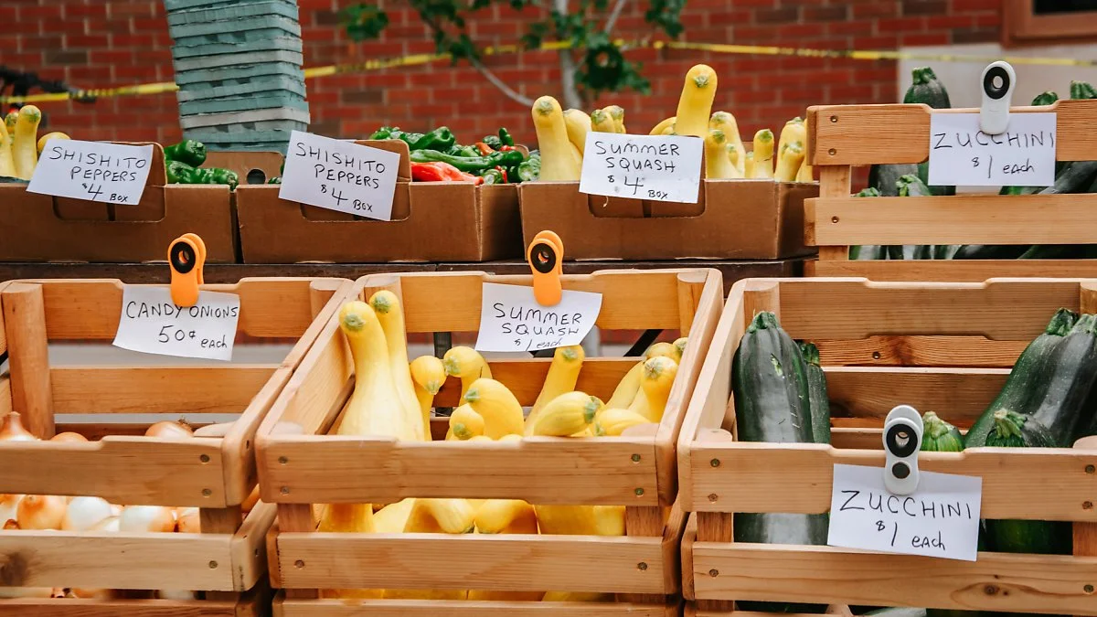 image_4292363951611104605509.jpg?type=w1200