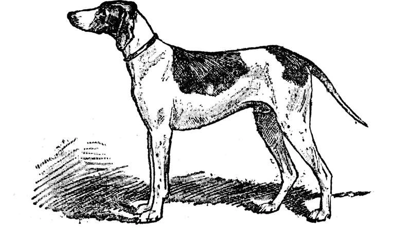 image_3228265891619398047040.png?type=w1200