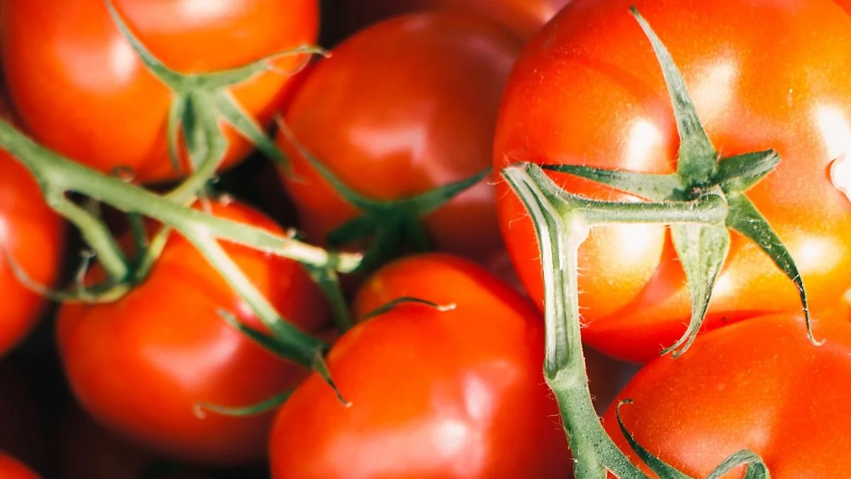 image_2146532701611122627741.jpg?type=w1200