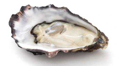 0003289120_001_20240407120101214.jpg?type=w647