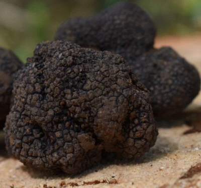 0003334262_002_20241123120811204.jpg?type=w860