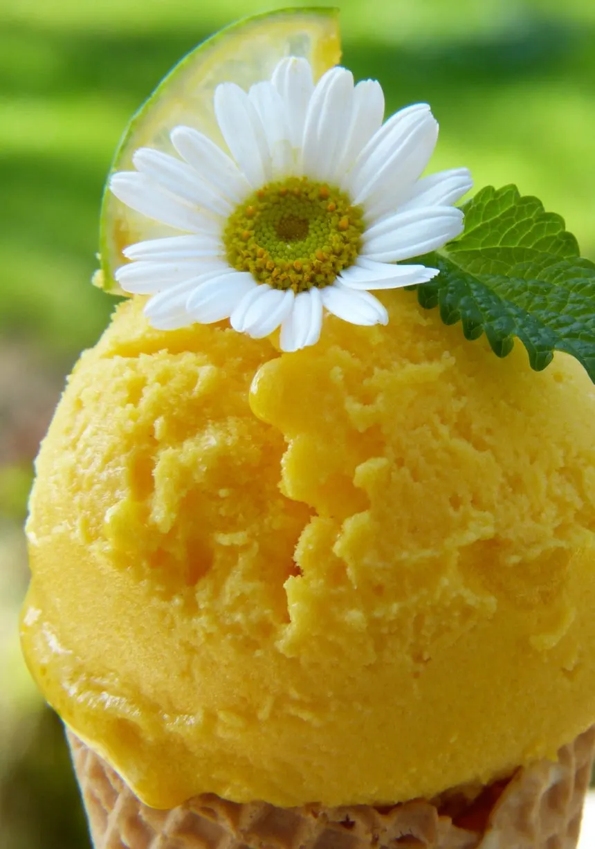 0003382175_001_20250712060313561.jpg?type=w860