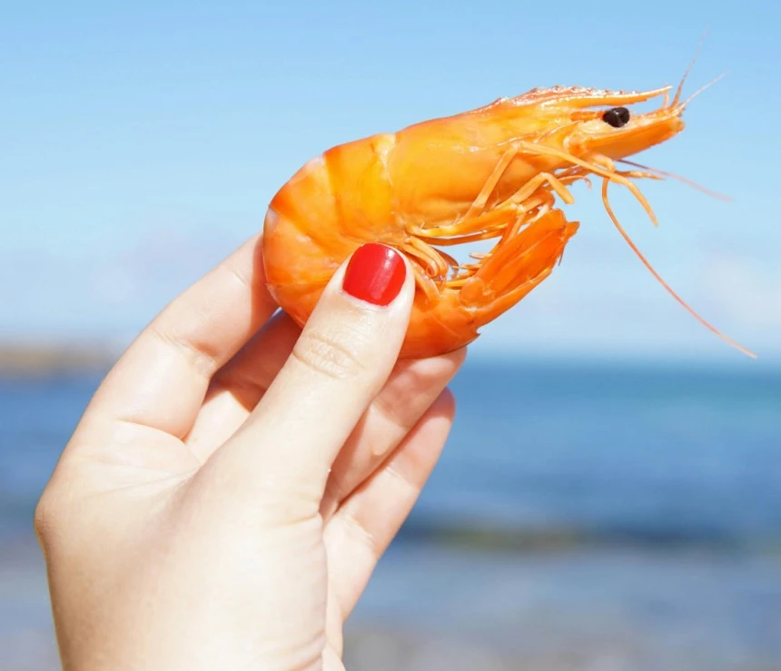 0003364296_003_20250419090114125.jpg?type=w860