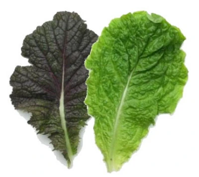 0003278312_001_20240209150301127.jpg?type=w647