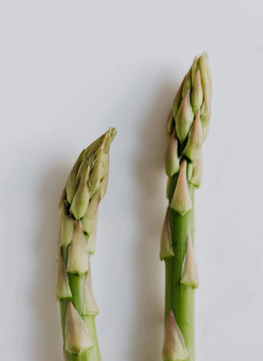 0003370098_001_20250517120302021.jpg?type=w860