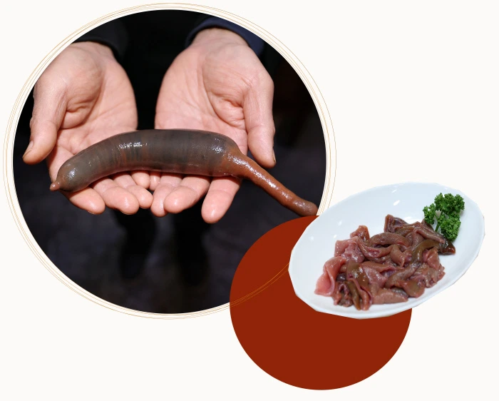 0003340693_001_20241221060025909.jpg?type=w860