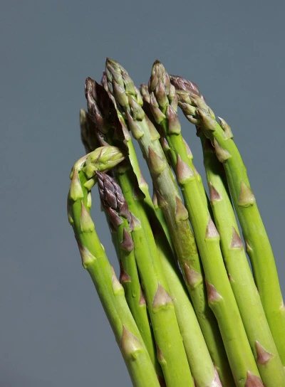 0003370098_002_20250517120302196.jpg?type=w860