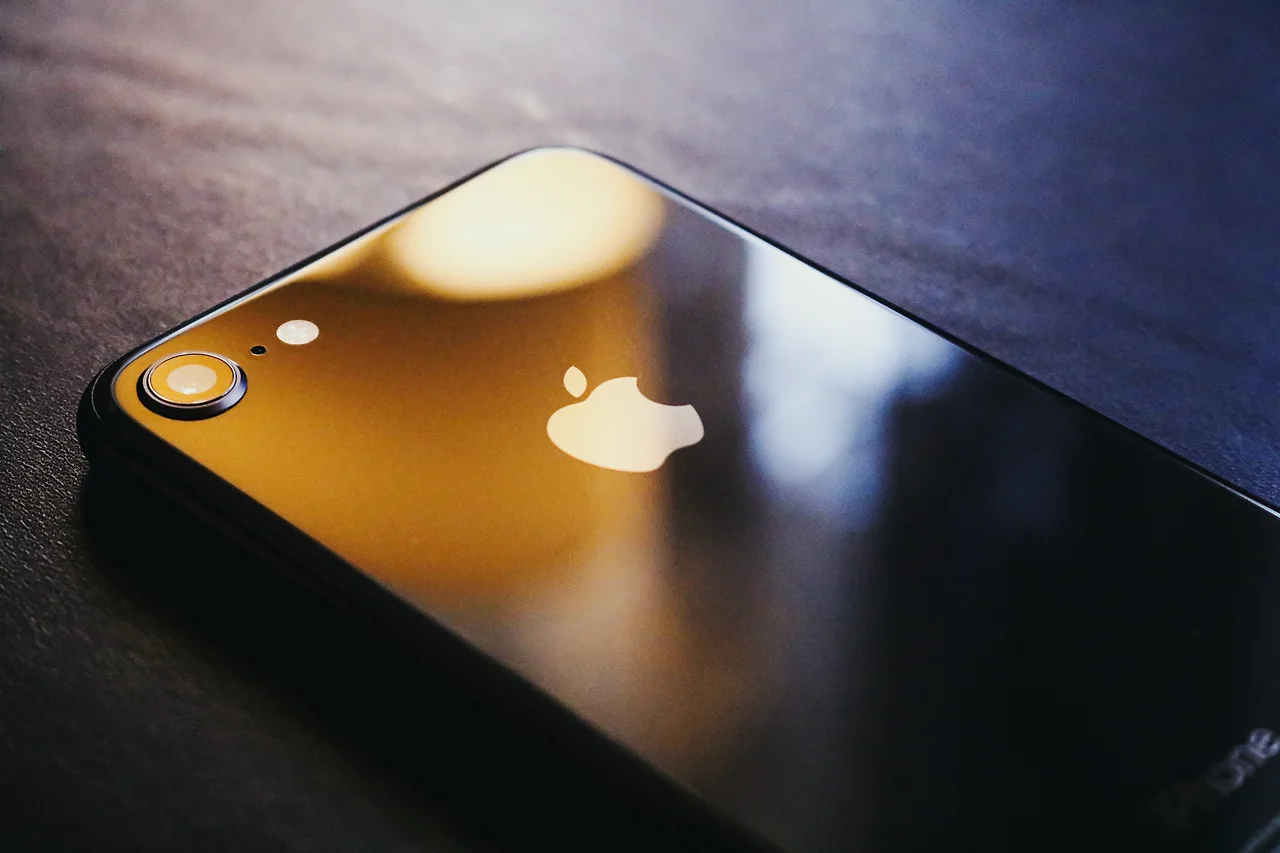 photo-1589570844624-8606f81f7eb3?ixid=MXwxMjA3fDB8MHxwaG90by1wYWdlfHx8fGVufDB8fHw%3D&ixlib=rb-1.2.1&auto=format&fit=crop&w=1000&q=80