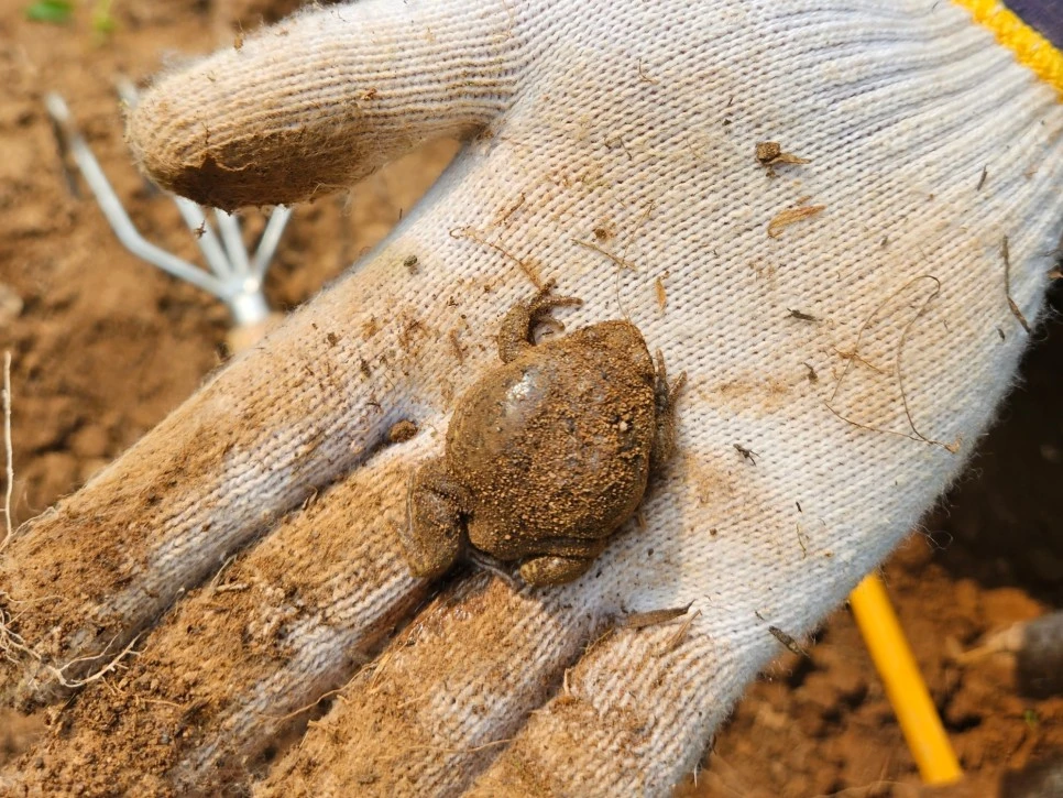 SE-190bf50c-a8c3-4d7b-8ebd-2372f5aa6689.jpg?type=w966