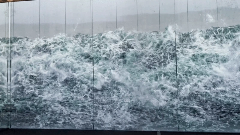 %EB%94%94%EC%9E%90%EC%9D%B8%EC%BD%94%EB%A6%AC%EC%95%842021.gif?type=w1200