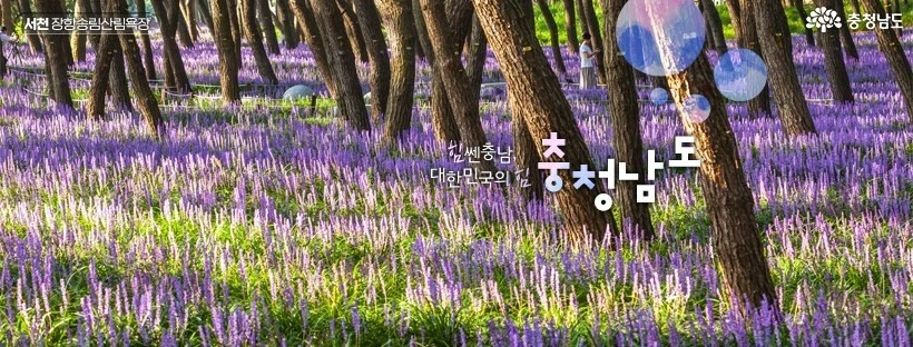 공모전_제15회 충남공공디자인 공모전_1.JPG