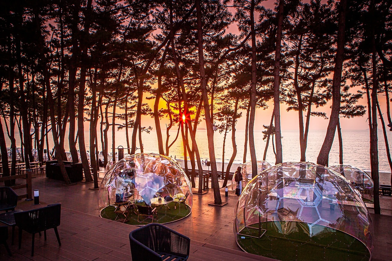 공모전_리솜리조트 캐릭터 개발 공모전_1.JPG