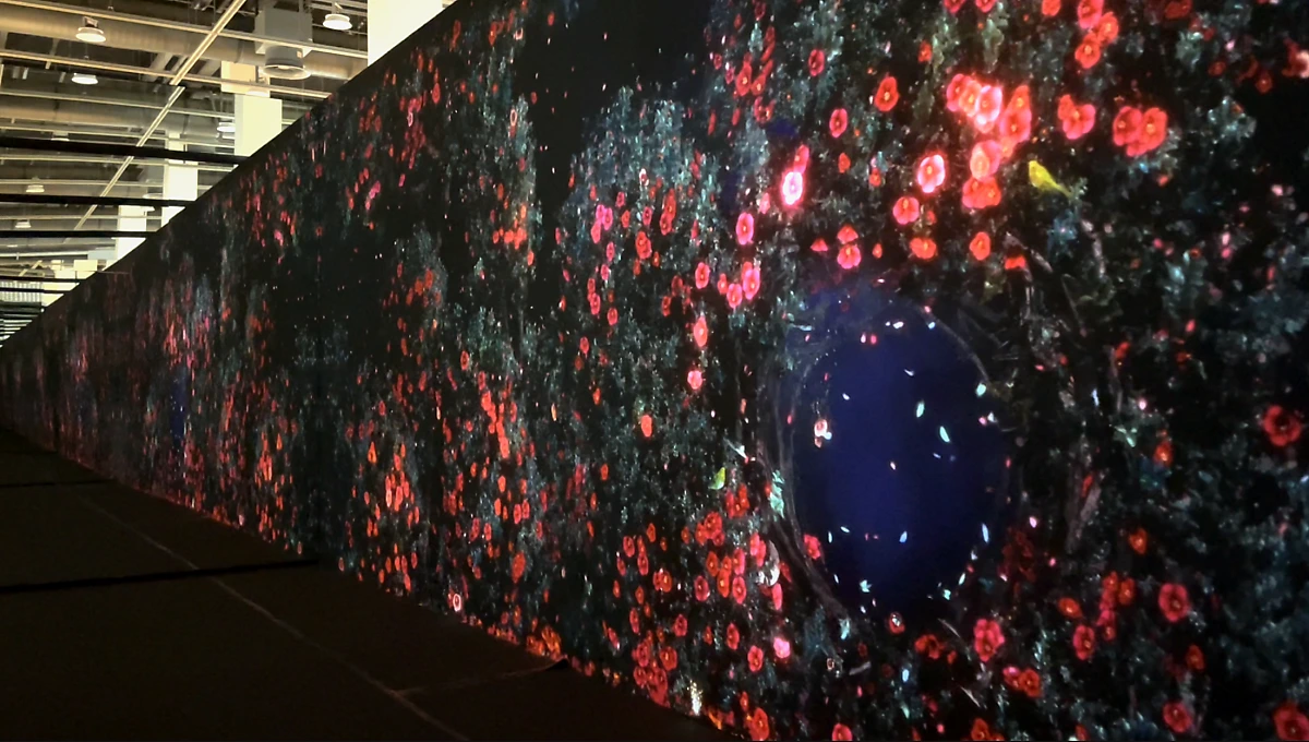 image_5596926091634102586661.png?type=w1200