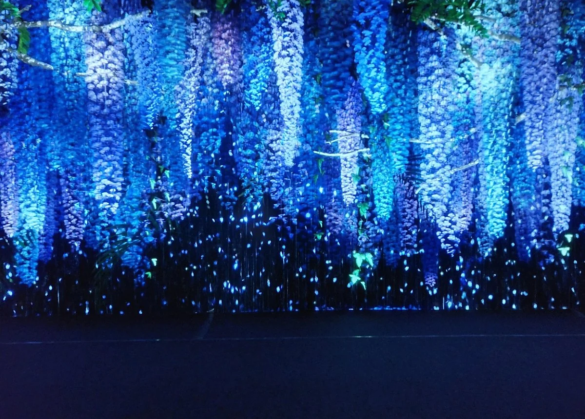 image_4838274471634103694657.jpg?type=w1200