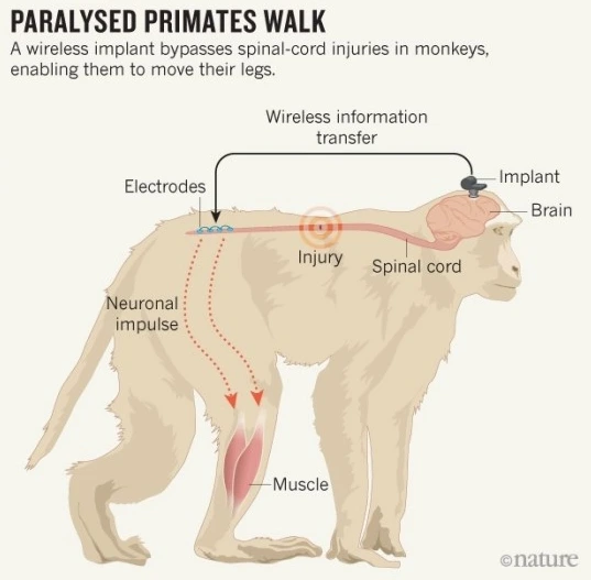 DH4XnorqSjXxfyacmbDgA4Sl-nhPnlZL-hE1B6EBt8Us9ocqQ0uGFlefov2gyVtSbR707hend1VZxAL8SWwIeSf9E0mj90UfH6I3mcw8TYEE-y_Q7o93KkaFWnU6Bjy6Mxen80Bw=s0