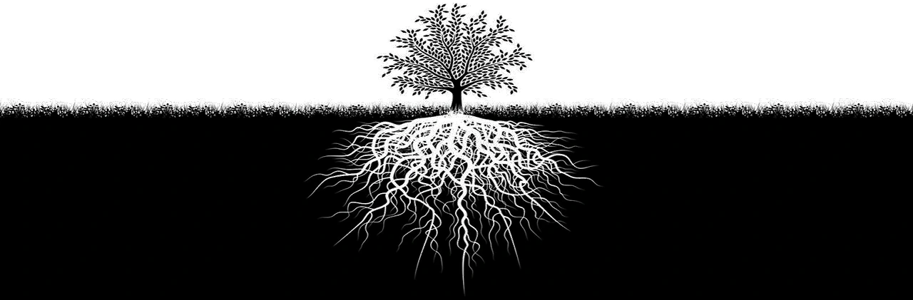 qg9DbpSgf8xzLg5Vkegzv08B1iT2EeMPkwV0gFiwzLM7ihj79JgdNcT_cIcVgo56xqJC4RrkXZ8ctR812SJR1YhiUOJbZf4YyANN0p9Y_smFQjYVkybNlA6y4CAXxW4qu8TfM5ih