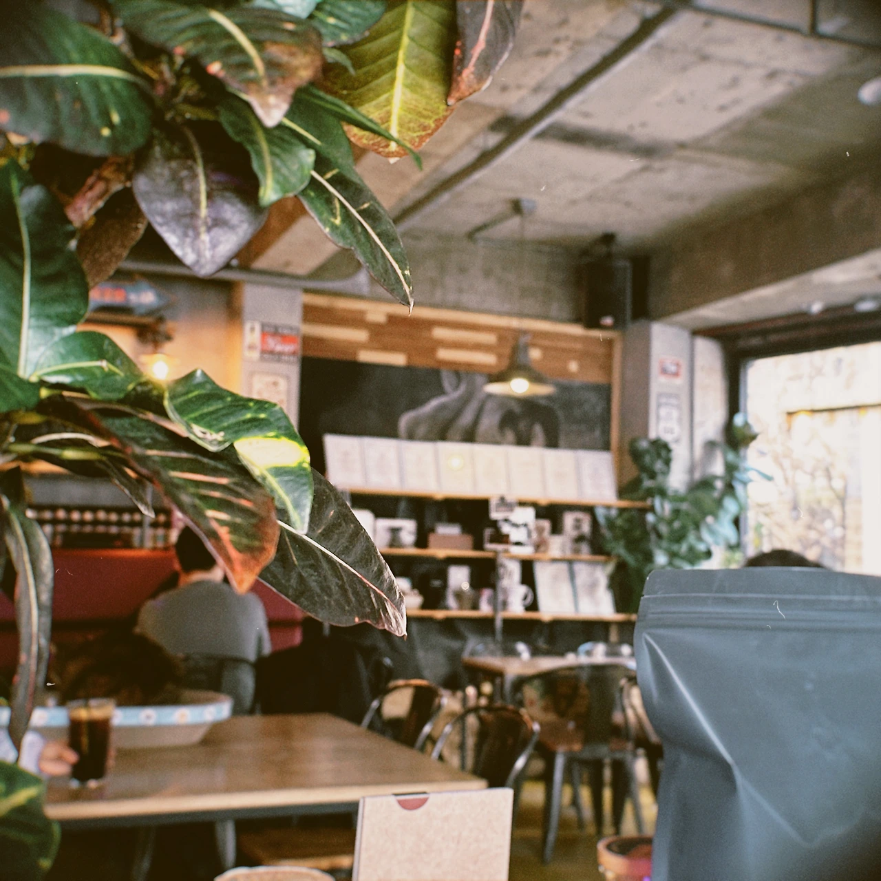 hoga 2023-02-15 173603.896.JPG