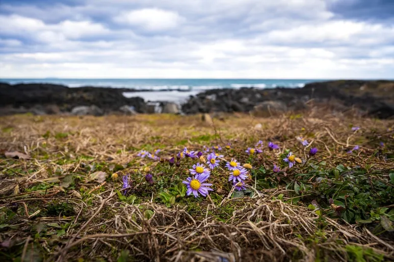 DSC_2908.jpg?type=w773