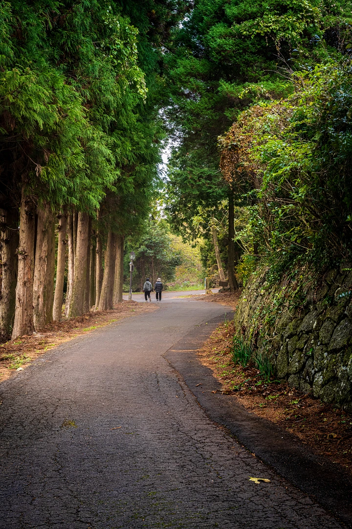 DSC_2818.jpg?type=w773